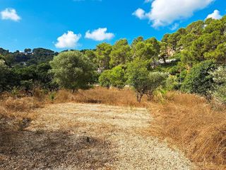Terreno en venta en Guadassuar
