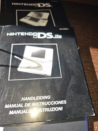 Caricatore e custodia per Nintendo DS