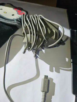 Caricatore e custodia per Nintendo DS