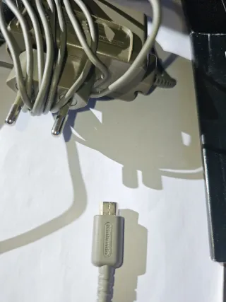 Caricatore e custodia per Nintendo DS