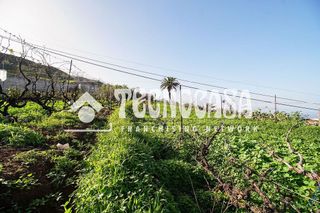 Terreno en venta en Sauzal (El)