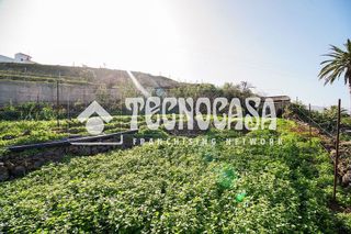 Terreno en venta en Sauzal (El)