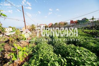 Terreno en venta en Sauzal (El)