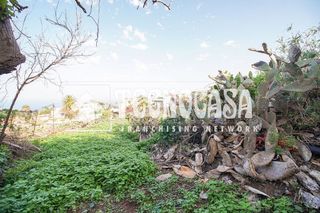 Terreno en venta en Sauzal (El)
