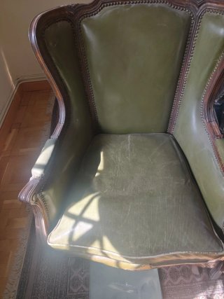 Dos orejeros de piel verde