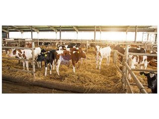 Nave industrial en alquiler en Trujillo