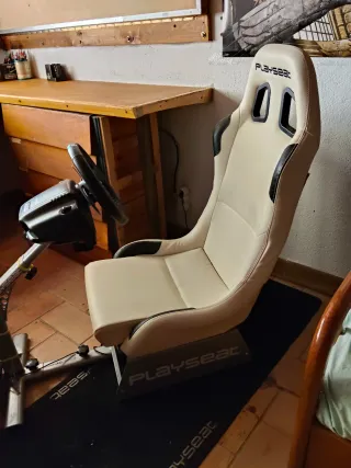 Playseat +Volante+pedales
