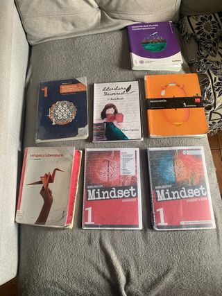 Historia, lengua, economía, matemáticas, inglés...