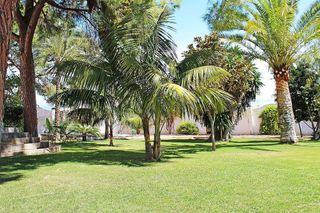 Chalet en alquiler en El Terreno en Palma de Mallorca