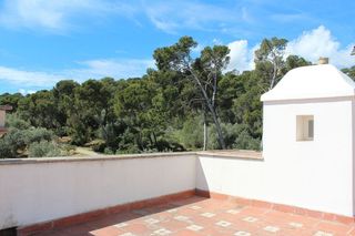 Chalet en alquiler en El Terreno en Palma de Mallorca
