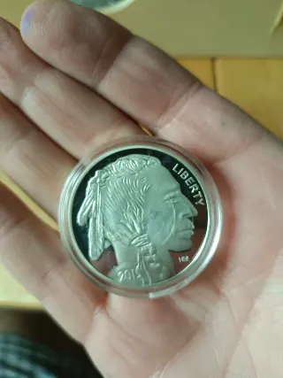 Moneda Plata Buffalo 2015