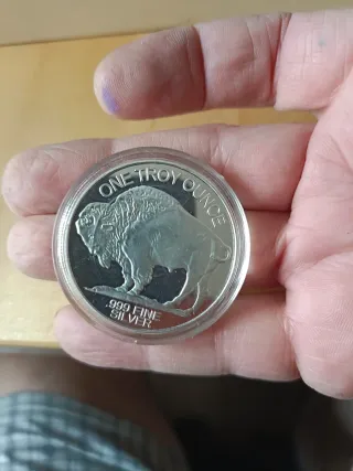 Moneda Plata Buffalo 2015