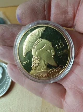 Moneda Plata Buffalo 2015
