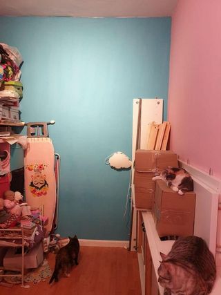 Piso en venta en Universidad - Malasaña en Madrid