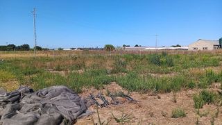 Terreno en venta en Centro - Norte en Chipiona