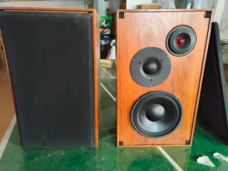 Altavoces Negro y Marrón