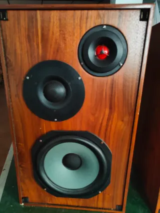 Altavoces Negro y Marrón