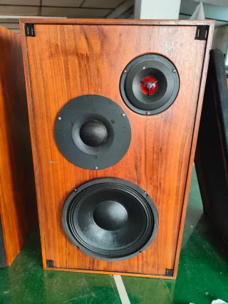 Altavoces Negro y Marrón