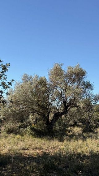 Solar en venta en Alcalà de Xivert pueblo en Alcalà de Xivert