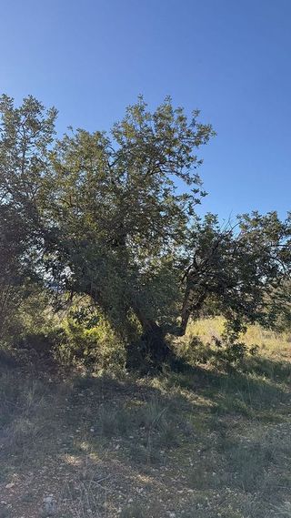 Solar en venta en Alcalà de Xivert pueblo en Alcalà de Xivert