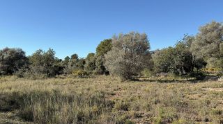 Solar en venta en Alcalà de Xivert pueblo en Alcalà de Xivert