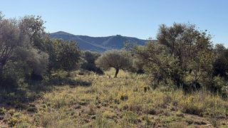 Solar en venta en Alcalà de Xivert pueblo en Alcalà de Xivert