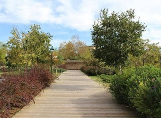 Terreno en venta en Calvià en Calvià