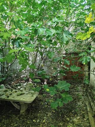 Chalet en venta en Corral de Almaguer