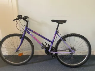 Bicicleta Orbea Morada