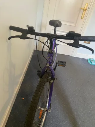 Bicicleta Orbea Morada