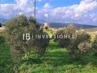 Terreno en venta en Búger