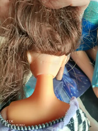 Rapunzel e 13 amiche Disney