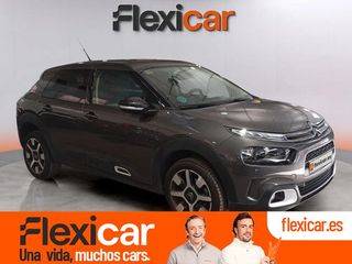 Citroën C4 Cactus PureTech 81KW (110CV) S&S EAT6 Feel