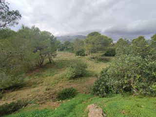 Terreno en venta en Miami Platja - Miami Playa en Mont-Roig del Camp