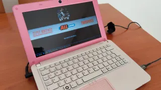 Mini portátil Sony VAIO rosa y plateado