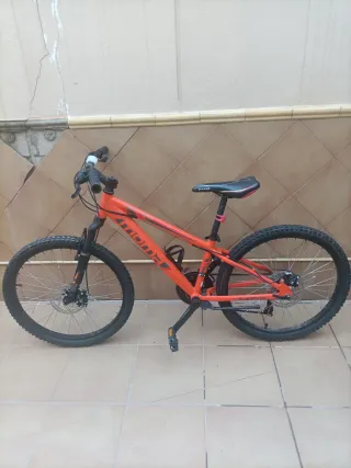Bicicleta Naranja