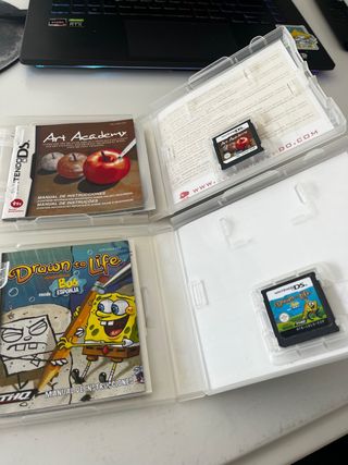 Juegos Nintendo DS: Art Academy y Drawn to Life