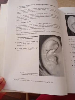 Tratado Didáctico de Auriculomedicina (Spanish ...