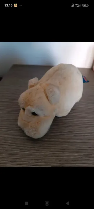 Collezione Trudi anni 2000 singolarmente 8 euro