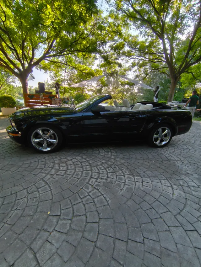 Auténtico Mustang Americano Descapotable