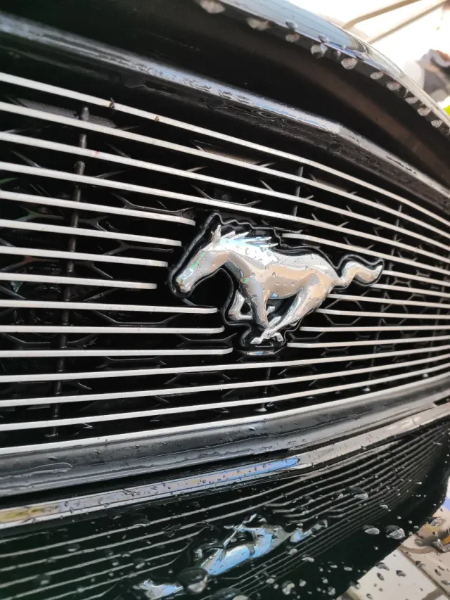 Auténtico Mustang Americano Descapotable