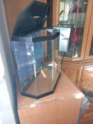 Pecera hexagonal con filtro