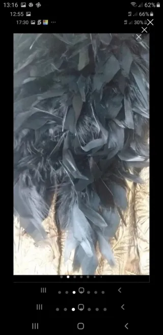 Americana Josefina Ábalos con Plumas