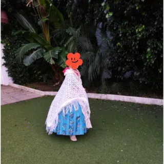 Traje Fallera Manga Larga