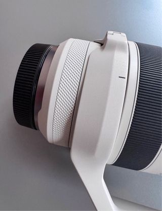 Canon RF 100-500mm F4.5-7.1 L IS USM