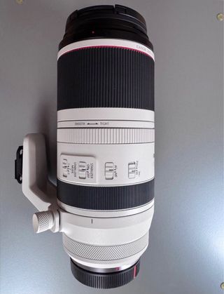 Canon RF 100-500mm F4.5-7.1 L IS USM