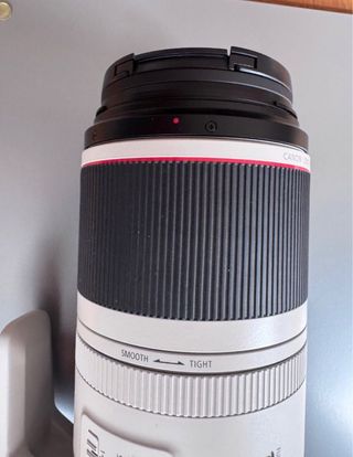 Canon RF 100-500mm F4.5-7.1 L IS USM