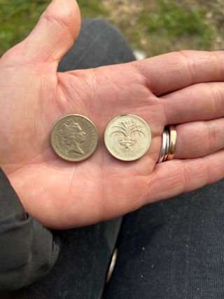 Moneta da una sterlina