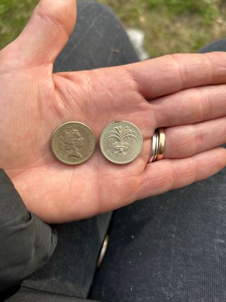 Moneta da una sterlina