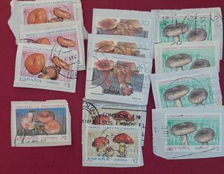 Sellos de setas España